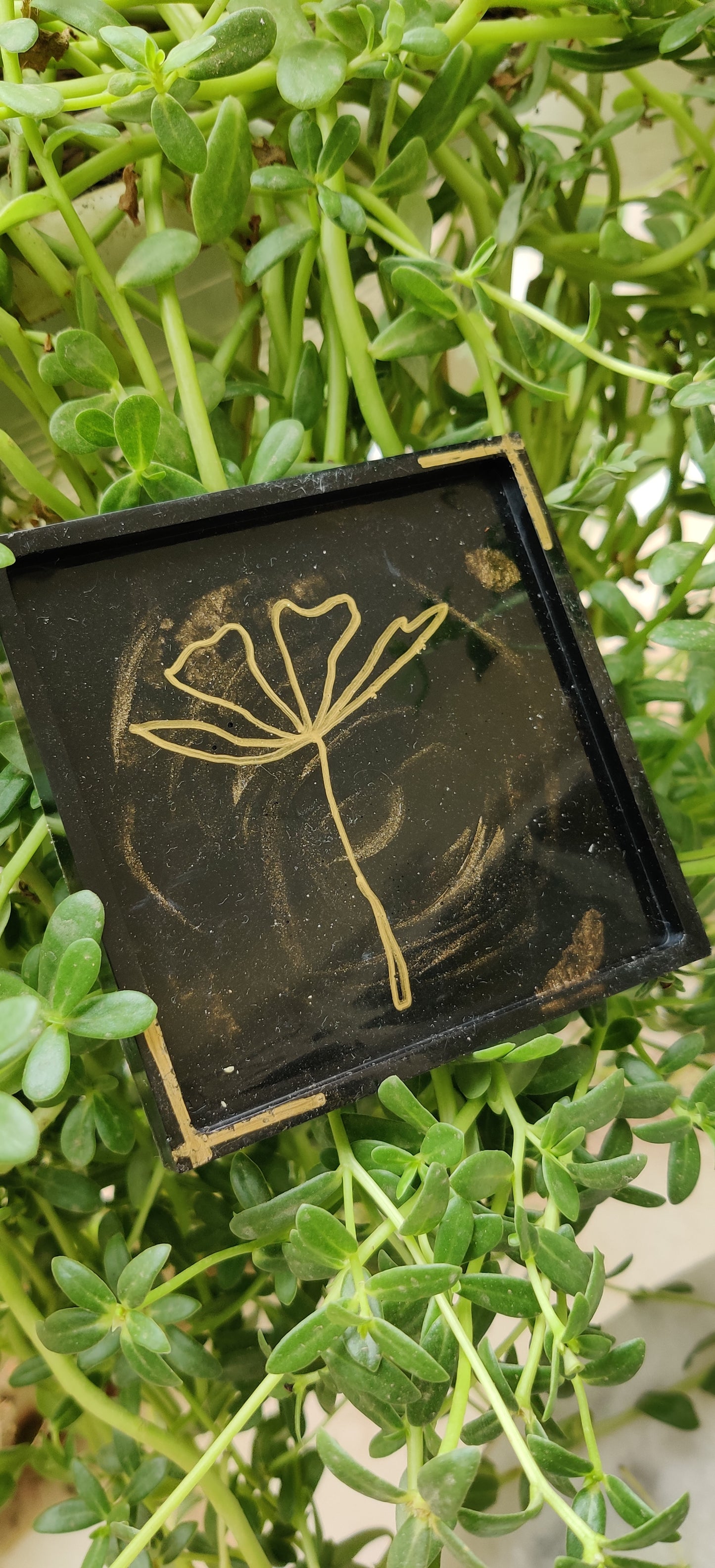 Black and Golden Flower coasters